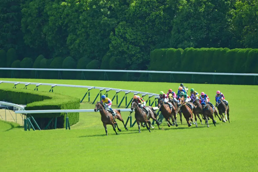 競馬場でレースが行われている様子