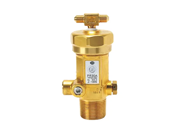 PR30A型容器弁の写真